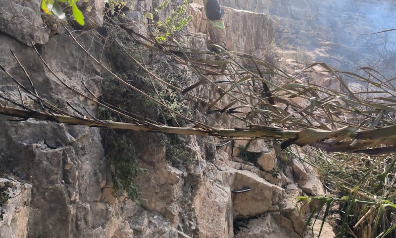 נחשפה הסיבה לפרוץ השריפה בנחל פרת