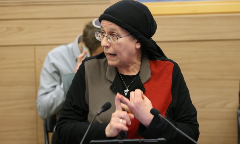 מהומה בוועדה | סטרוק לטאהא: "אתה גזען"