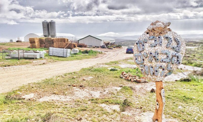 אז איפה אתם מטיילים ביום הבחירות?