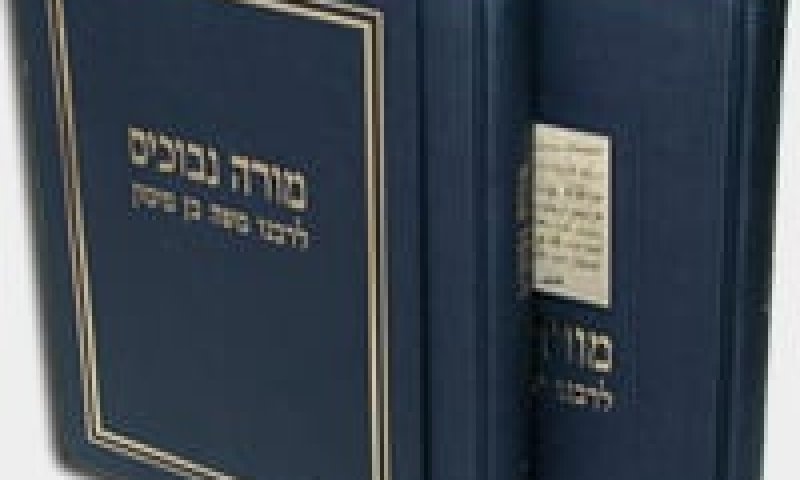 פרס ישראל במחשבת ישראל למתרגם 'מורה הנבוכים'