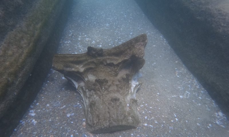 מטען שיש מתקופת המשנה התגלה בחוף בית ינאי