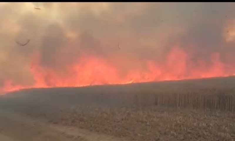לראשונה: כוחות צה"ל תקפו משגרי בלוני נפץ בעזה