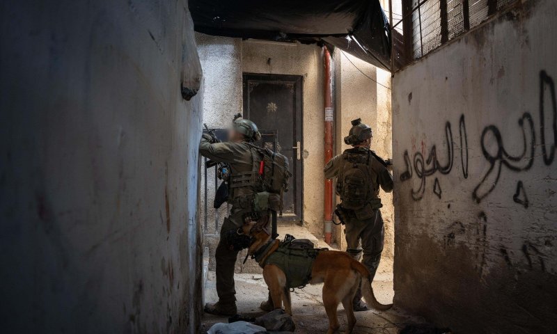 צה"ל מאשר: חוסל ראש התארגנות הטרור בכפר טמון