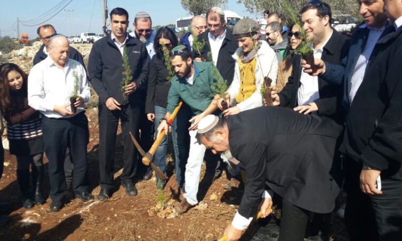 הבית היהודי בחגיגת נטיעות ביער שקד