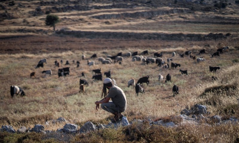 אחרי שבוע בחקירות: המתיישבים הקטינים נפגשו עם עו"ד