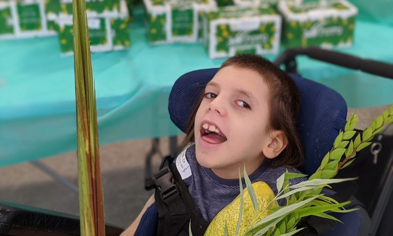 לאחר חודשים שלא יצאו- השתתפו בשוק 4 מינים