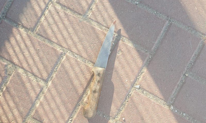 4 שנות מאסר בלבד למחבל שניסה לרצוח יהודים