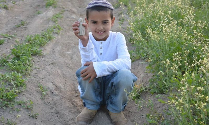 ילד בן 7 חשף הסטוריה בת 3,400 שנה