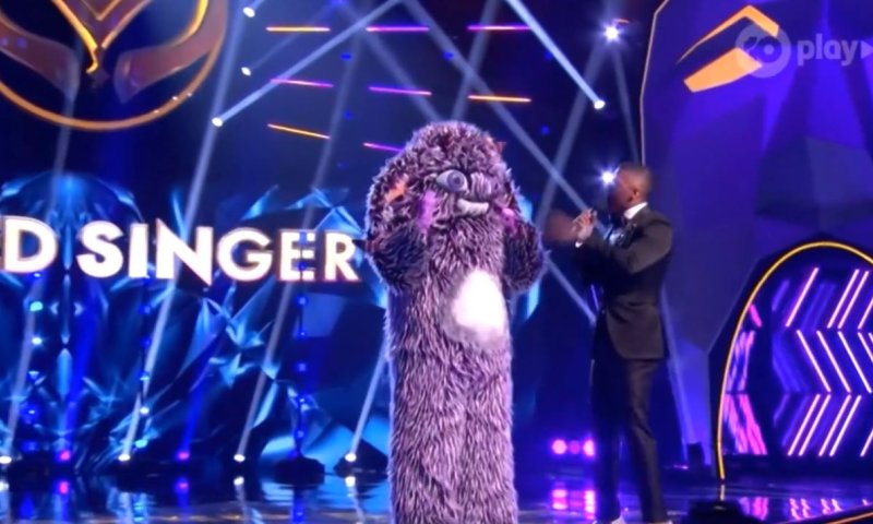 בגלל החום: פדיחה מביכה ב'זמר במסכה' הבינלאומי