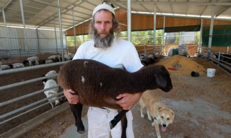 מכון המקדש רושם אנשים להקרבת קרבן פסח השנה