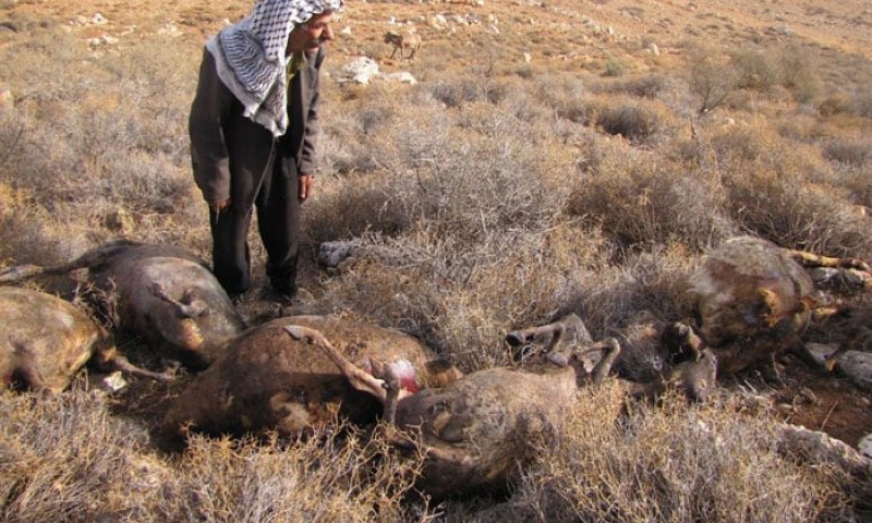 עכשיו גם המשטרה מודה: הפלסטיני שיקר