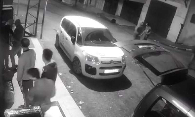 'בצלם': "חיילים ירו בלוקה בשכלו ללא סיבה". צפו