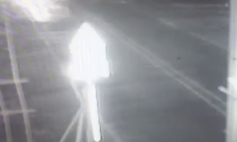 צפו: רכבת מתנגשת ברכב שניסה לחצות את המסילה