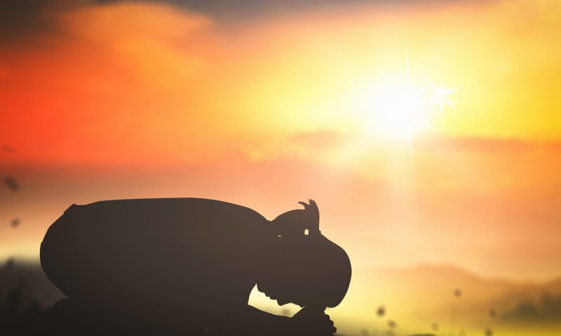 צפו: קצר על הפרשה | הגאולה לא באה ב-"בום"