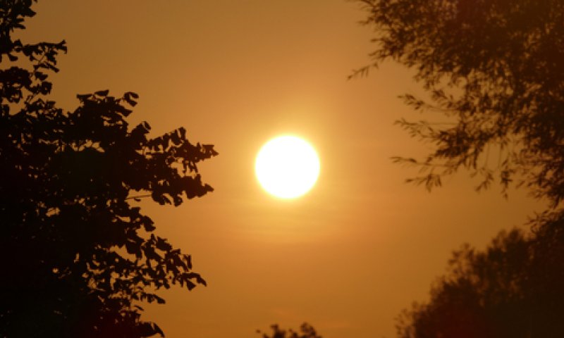 אל תצאו מהבית: גל חום קיצוני וארוך. תחזית מזג אוויר לסופ"ש