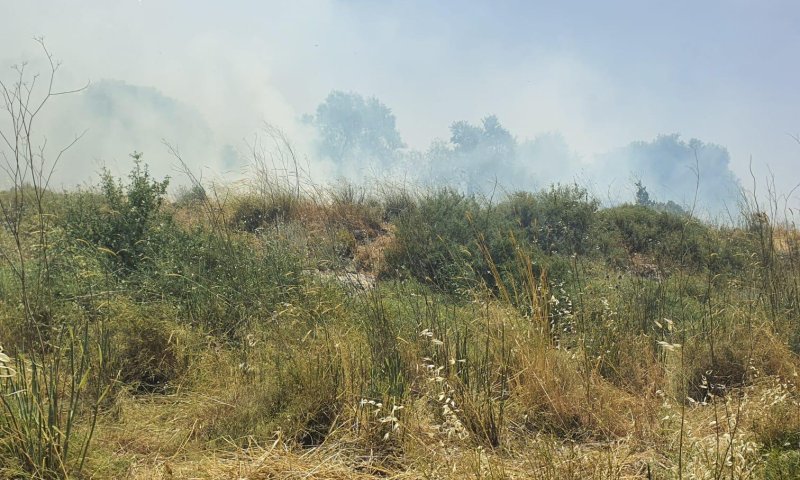 שריפה ענקית ביישוב גבע בנימין;תושבים פונו מבתיהם
