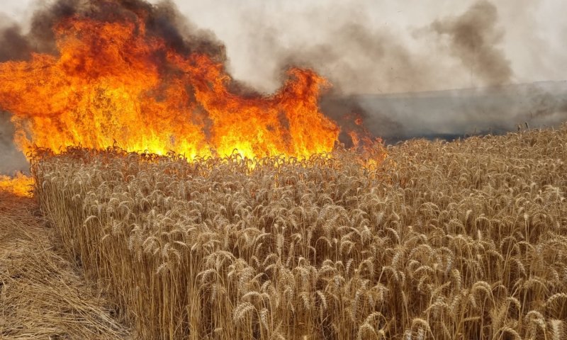 "שומר החומות": תיעוד נדיר ממצלמתו של קצין הביטחון