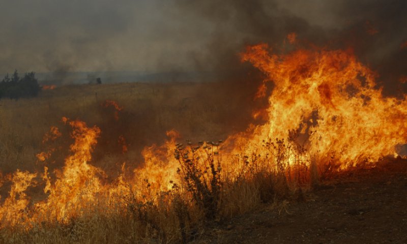 לא רק בדרום: חיזבאללה החלו בטרור הצתות בצפון