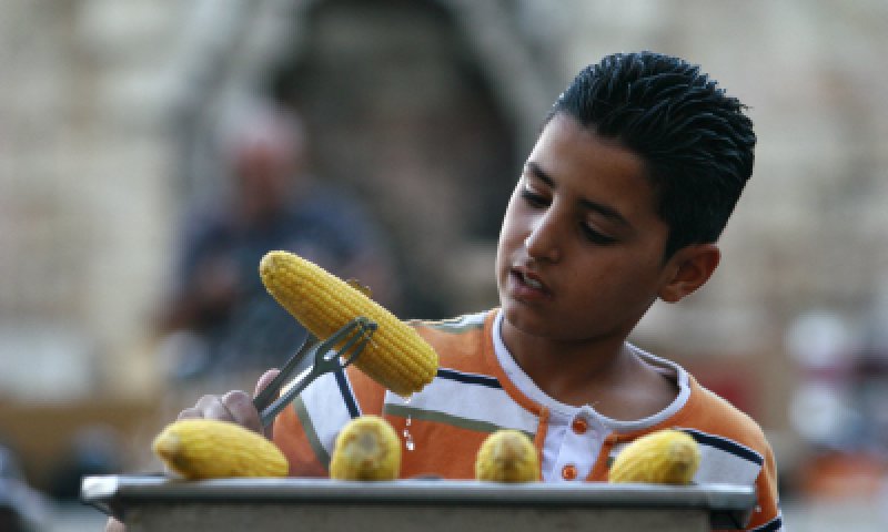 יוצאים לטייל? קבלו תשע עצות ודגשים לגבי כשרויות