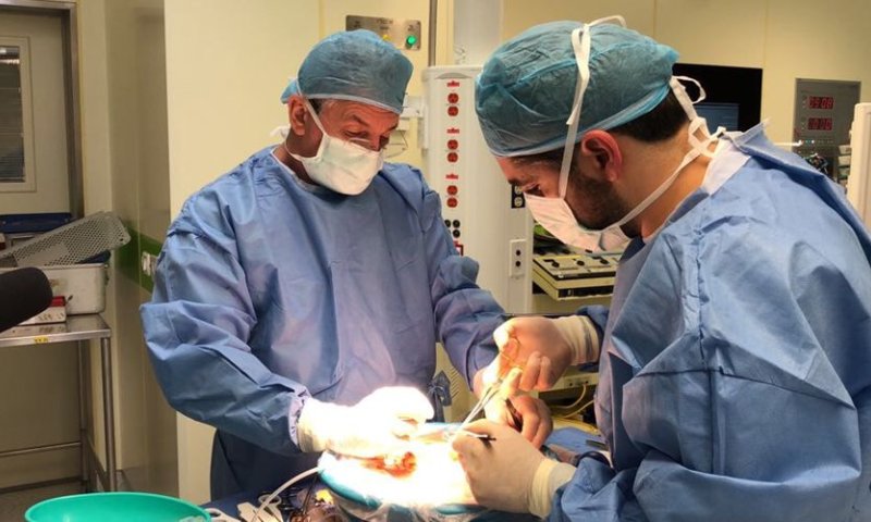 הציל חיים גם אחרי מותו: משפחתו של אריאל תרמה את איבריו