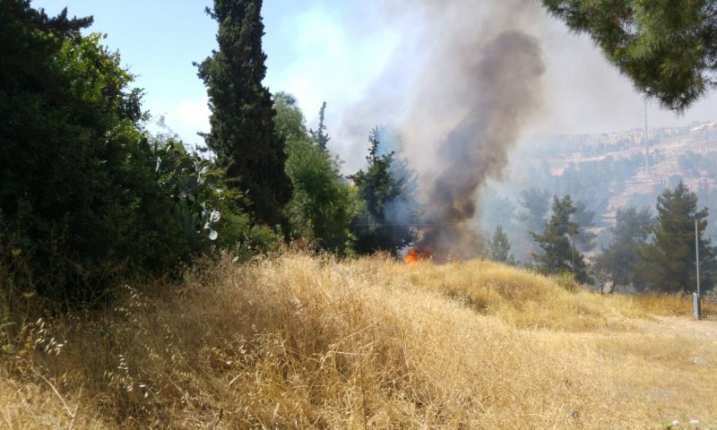 חגיגה לשמאל: משרדי מועצת יש"ע פונו