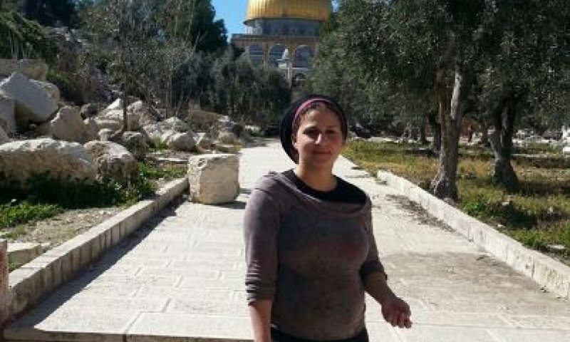 פסילת בן ארי: "איפה הD-9 כשצריך אותו? איפה?"