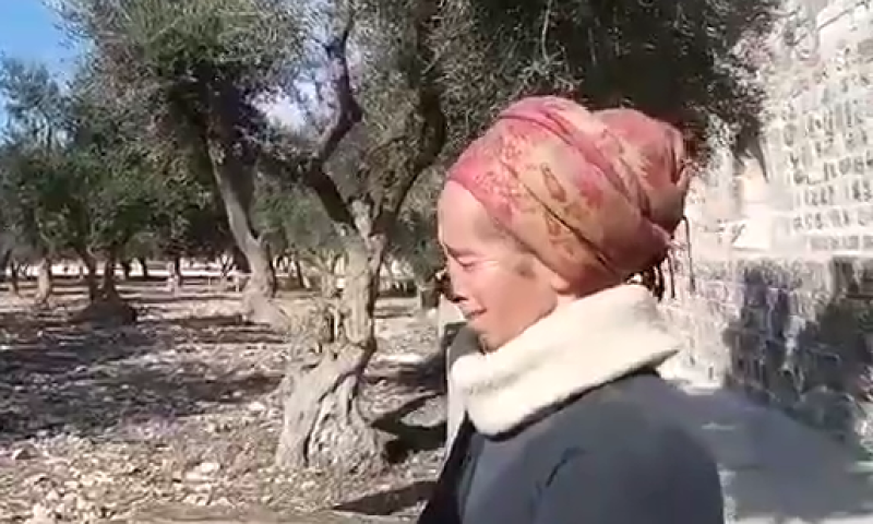 צפו: תמר ניזרי ממררת בבכי: "עסקה גרועה"