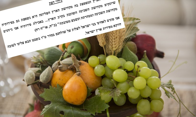 סדר ט"ו בשבט דווקא מפירות שגדלו בארץ ישראל