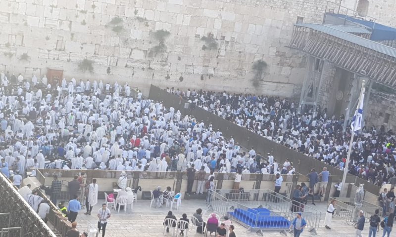 הרימו ידיים? הרפורמיות נטשו את הכותל
