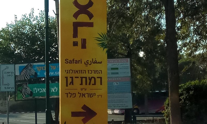 בייבי בום מרגש בספארי