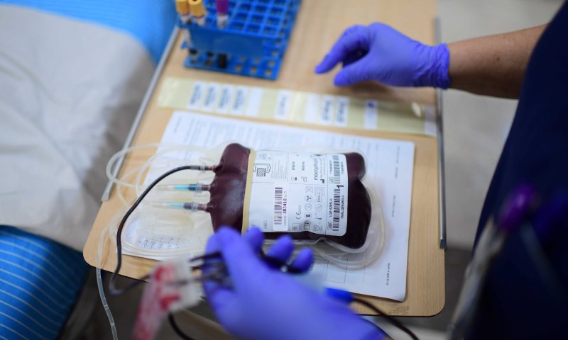 זקני הרבנים: שינוי הטפסים במד"א &ndash; שמד לנפש האומה