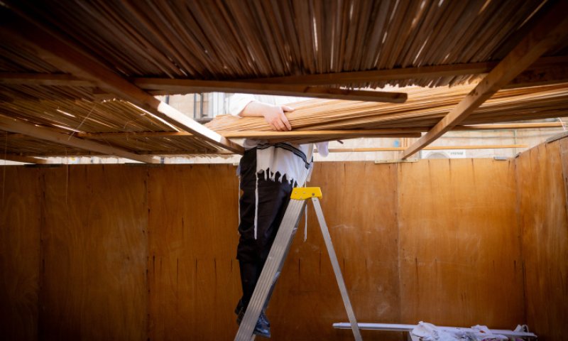 גבר נפל מסולם כשבנה סוכה, מצבו קשה