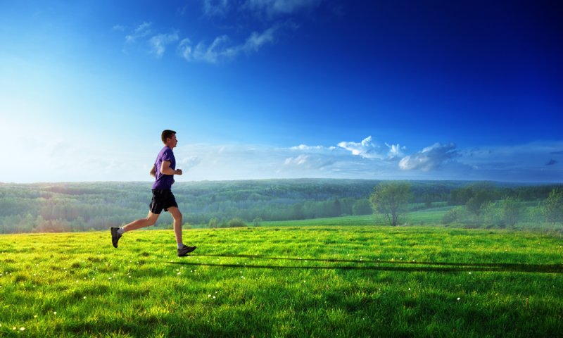 צעד למרתון: כתבה אחרונה מיומנו של מכור ריצה