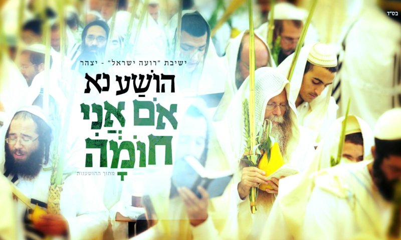 האזינו: ביצוע מחודש להושענא 'אם אני חומה'