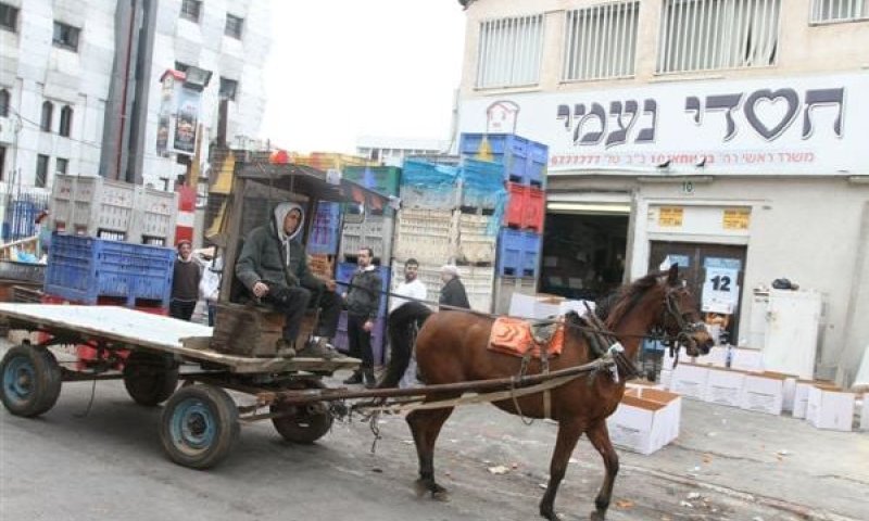 הדלק יקר מדי, ב'חסדי נעמי' חזרו לסוס ועגלה