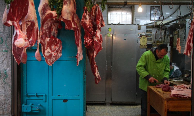 אם הרב קוק היה חי היום, הוא היה צמחוני?