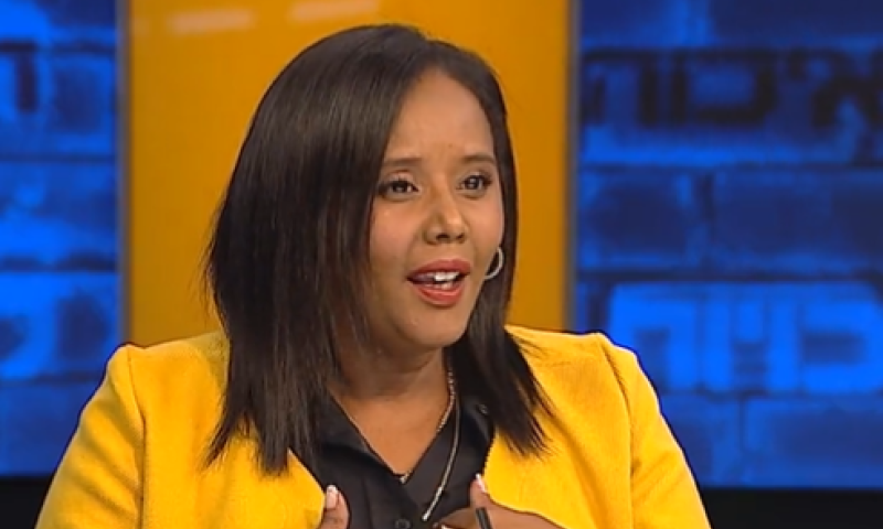 תמנו שטה מודה: זו הסיבה שהפסדנו בבחירות