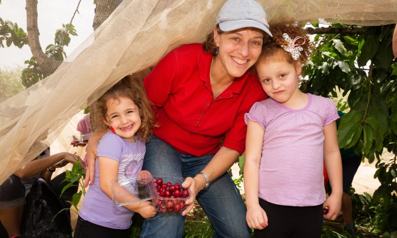 פסטיבל הדובדבנים בגוש עציון חוזר!