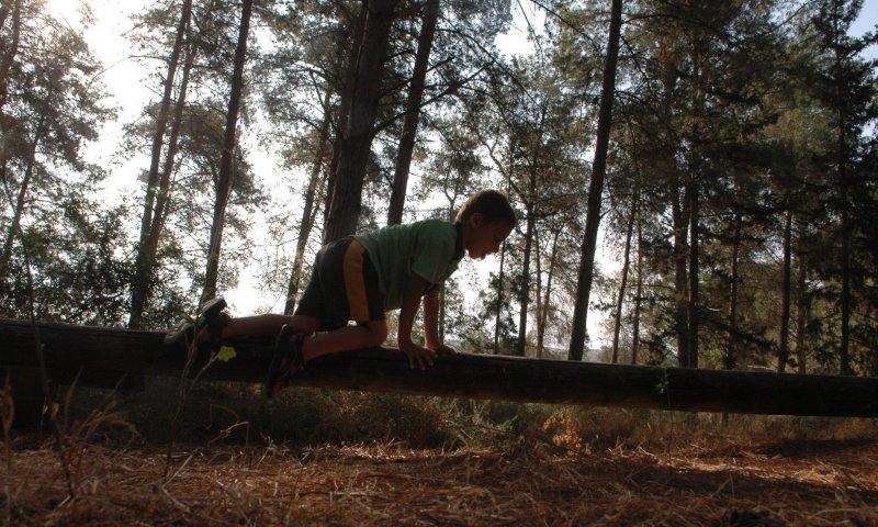 120 שנה לקק"ל: חוגגים יום הולדת בסיורים ברחבי הארץ