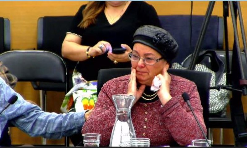 "מדובר בחיי אדם"; מחריף המאבק נגד תאונות הגמלים בנגב