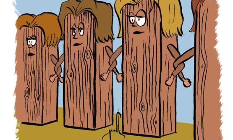 קריקטורה לכבוד שבת: פרשת תרומה