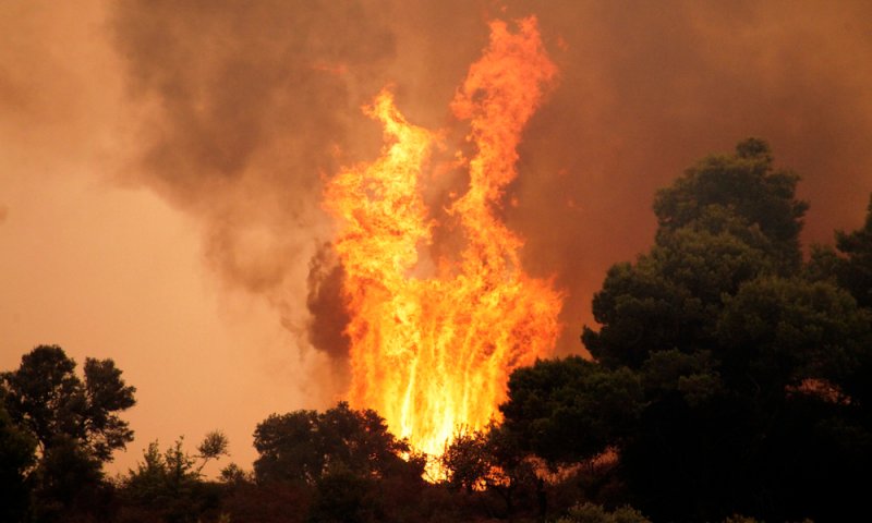 משלחת ישראלית תצא לסייע בכיבוי השריפות ביוון