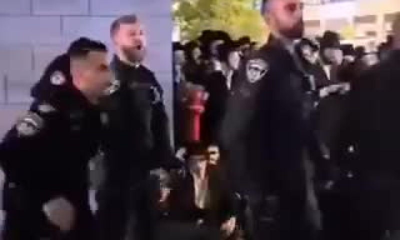 השוטרים האלימים מההפגנה בבית שמש &ndash; הושעו מתפקידם