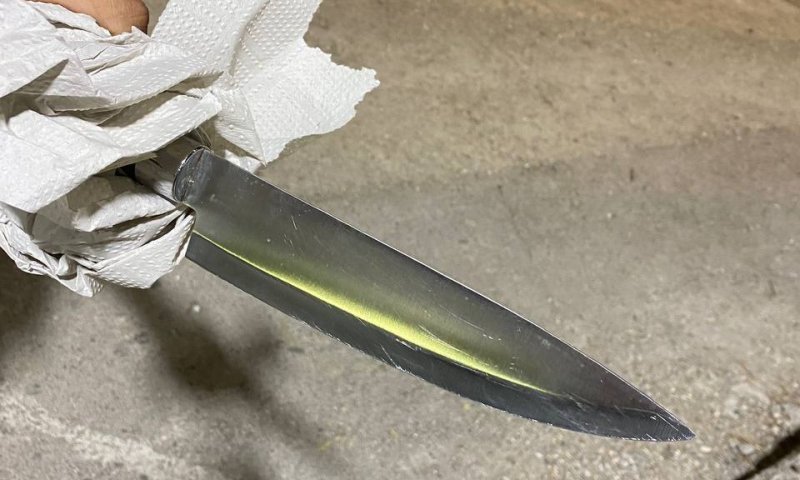 ניסיון פיגוע במעבר תאנים; המחבל נעצר