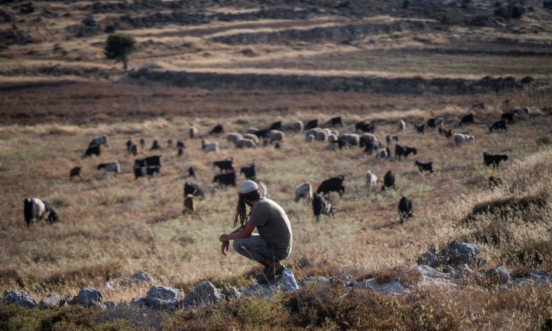 נתניהו וזיני יזמו מהלך נגד קטין ביו"ש: בחוננו תקפו את בלוט
