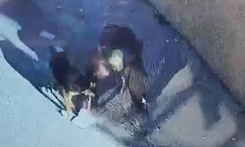 צפו: פורצים למסגד גונבים ספר קוראן וקורעים אותו