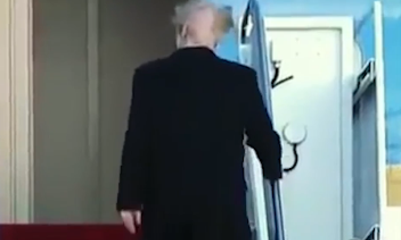 השתלה או פאה? תיעוד של טראמפ מסעיר את הרשת