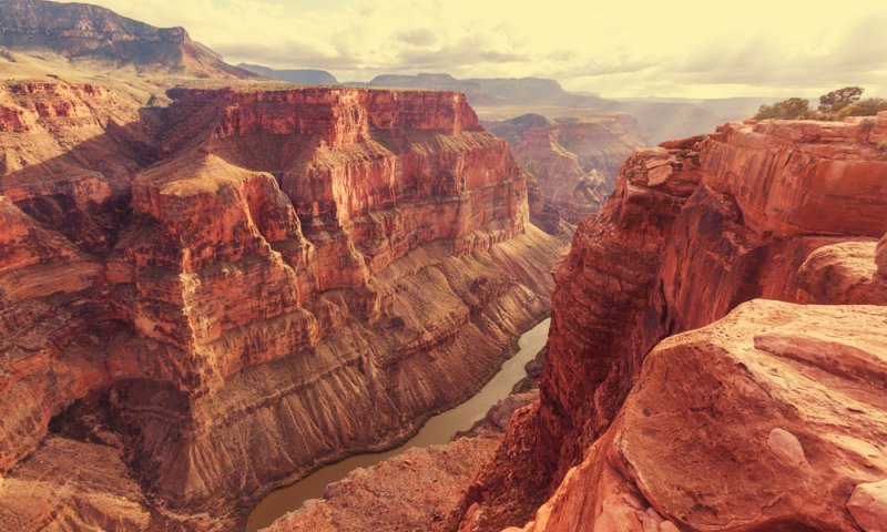 אסון בגרנד קניון: הרוג ו-57 פצועים בהידרדרות אוטובוס