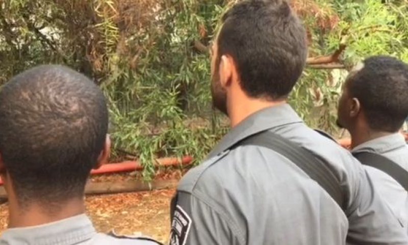 הלוחמים משחזרים: "ביצעתי ירי מדוייק"; צפו