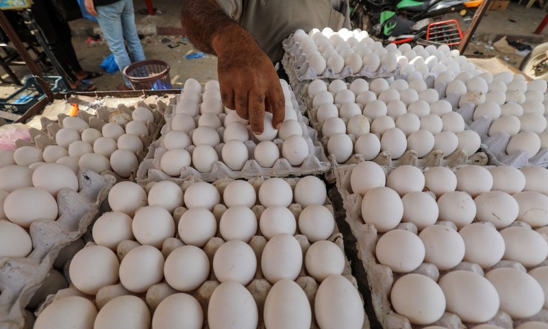 למנוע מחסור: מכסת יבוא הביצים תגדל ל-50 מיליון